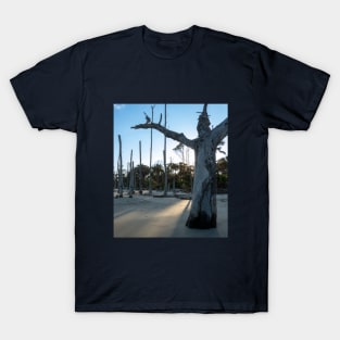 Driftwood Beach Statues T-Shirt